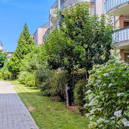 Garten.jpg